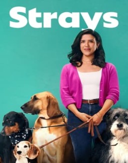 Strays Season  1 online